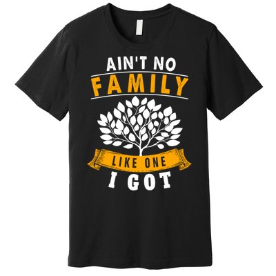 Funny Matching Family Gift Aint No Family Like The One I Got Premium T-Shirt