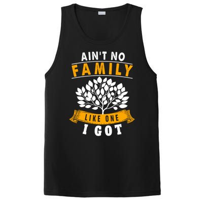 Funny Matching Family Gift Aint No Family Like The One I Got PosiCharge Competitor Tank