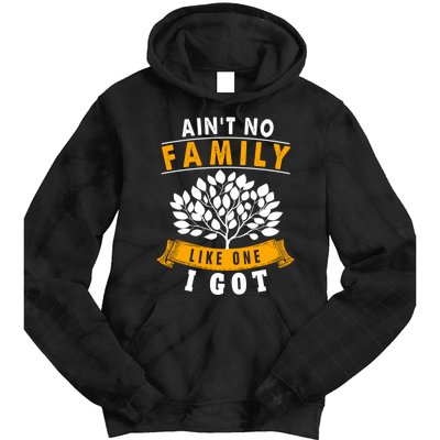 Funny Matching Family Gift Aint No Family Like The One I Got Tie Dye Hoodie