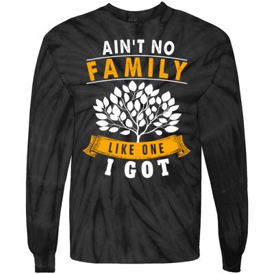 Funny Matching Family Gift Aint No Family Like The One I Got Tie-Dye Long Sleeve Shirt