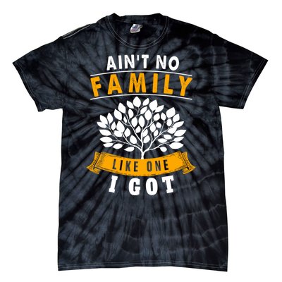 Funny Matching Family Gift Aint No Family Like The One I Got Tie-Dye T-Shirt