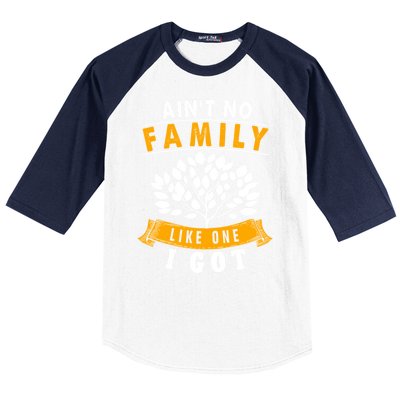 Funny Matching Family Gift Aint No Family Like The One I Got Baseball Sleeve Shirt