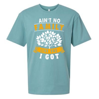 Funny Matching Family Gift Aint No Family Like The One I Got Sueded Cloud Jersey T-Shirt