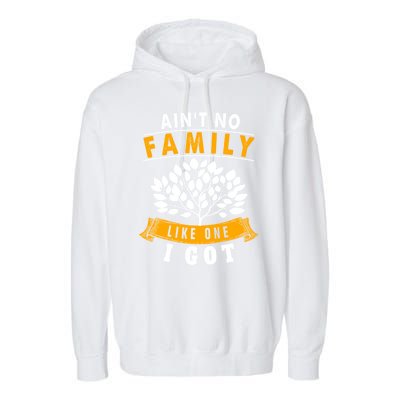 Funny Matching Family Gift Aint No Family Like The One I Got Garment-Dyed Fleece Hoodie