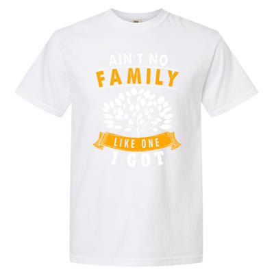 Funny Matching Family Gift Aint No Family Like The One I Got Garment-Dyed Heavyweight T-Shirt