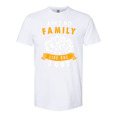 Funny Matching Family Gift Aint No Family Like The One I Got Softstyle CVC T-Shirt