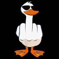 Funny Middle Finger Offensive Rude Duck I DonT Give A Duck 16 in Basic Backpack