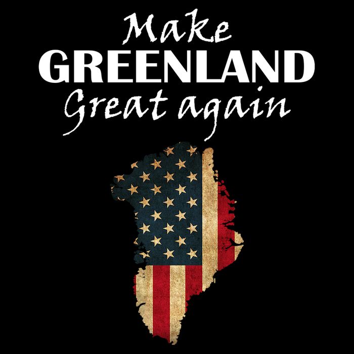 Funny Make Greenland Great Again Womens T-Shirt