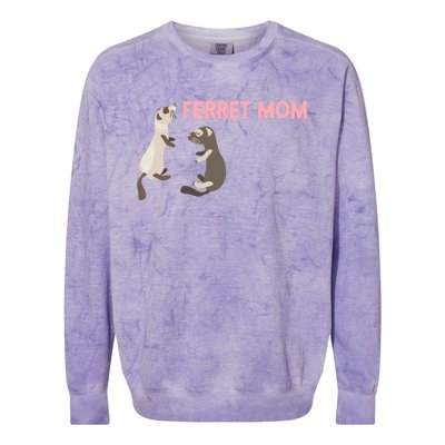 Ferret Mom Gift Colorblast Crewneck Sweatshirt