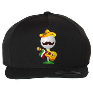 Funny Mexican Golf Ball Sombrero Guitar Cinco De Mayo Wool Snapback Cap