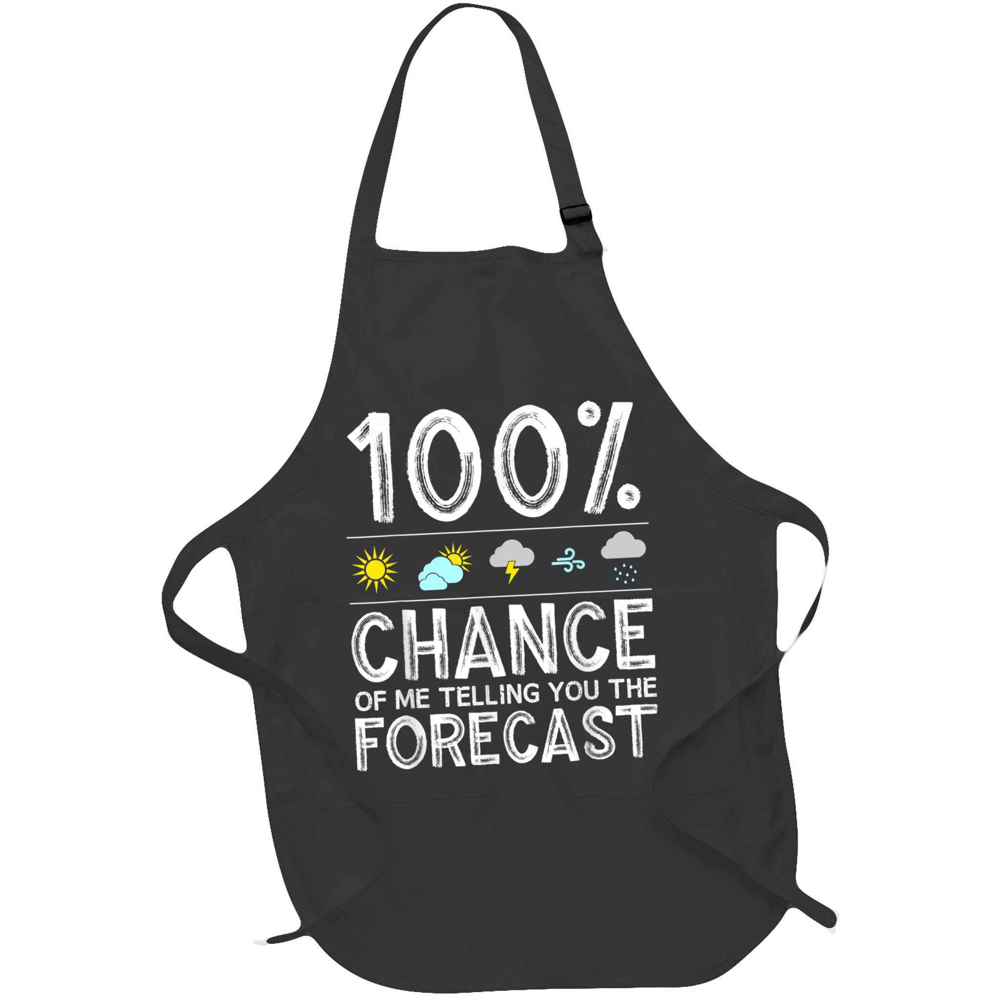 Funny Meteorology Gift For Weather Enthusiasts Cool Weatherman Gift Apron