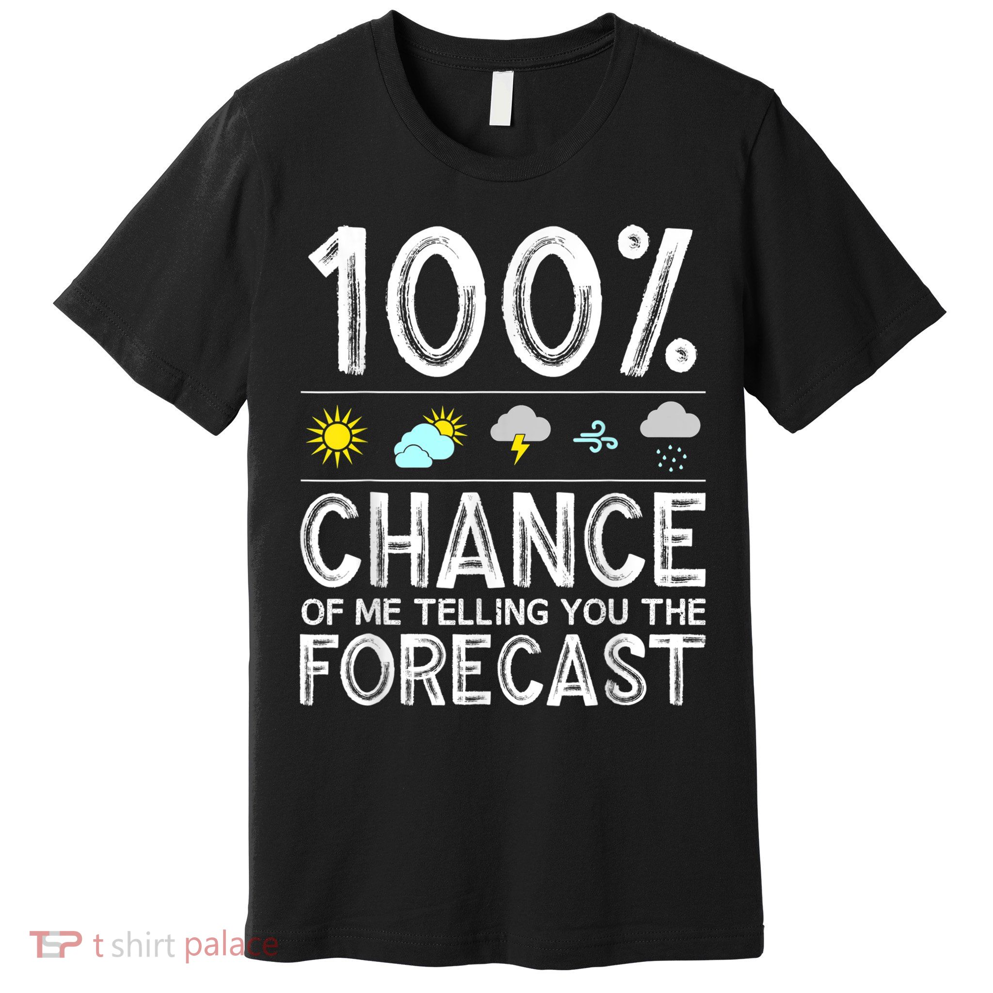 Funny Meteorology Gift For Weather Enthusiasts Cool Weatherman Gift Premium T-Shirt