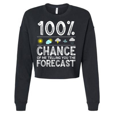 Funny Meteorology Gift For Weather Enthusiasts Cool Weatherman Gift Cropped Pullover Crew