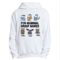 Fun Mammal Group Names Urban Pullover Hoodie