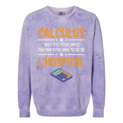 Funny Math Gift Calculus Will Test Your Limits Meaningful Gift Colorblast Crewneck Sweatshirt