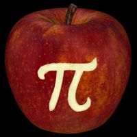 Funny Math Geek Apple Pie Pi Day Gift Flatbill Hat