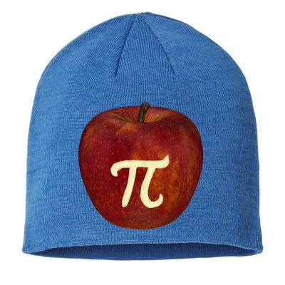 Funny Math Geek Apple Pie Pi Day Gift Sustainable Beanie
