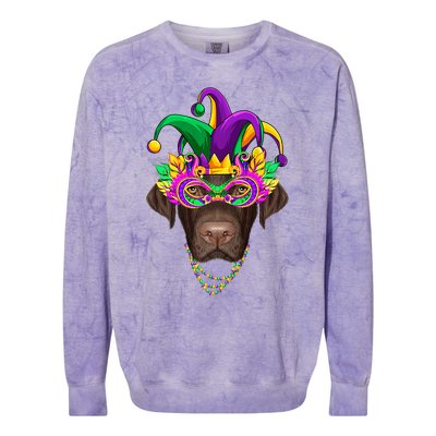 Funny Mardi Gras Labrador Dog Mardi Gras Beads Party Colorblast Crewneck Sweatshirt