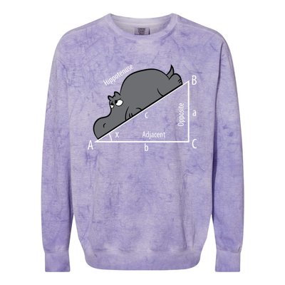 Funny Math Humor Hippotenuse Funny Hippo Math Analytical Hypotenuse Colorblast Crewneck Sweatshirt