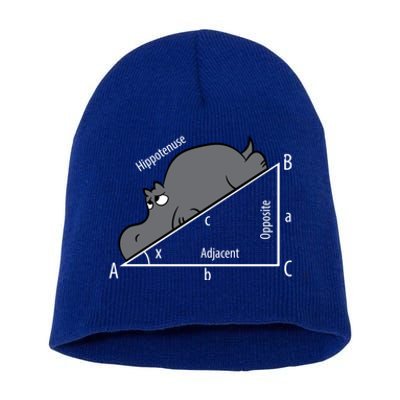 Funny Math Humor Hippotenuse Funny Hippo Math Analytical Hypotenuse Short Acrylic Beanie