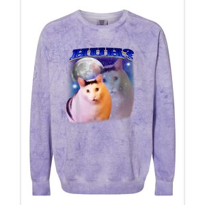 Funny Meme Huh Cat Colorblast Crewneck Sweatshirt