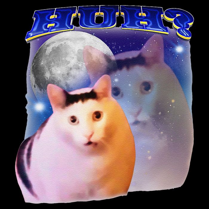 Funny Meme Huh Cat 7-Panel Snapback Hat
