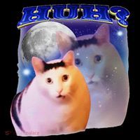 Funny Meme Huh Cat Drawstring Bag