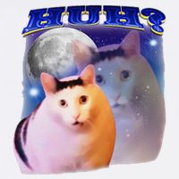 Funny Meme Huh Cat Cool Comfort Performance Bucket Hat