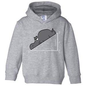 Funny Math Humor Hippotenuse Hypotenuse Funny Toddler Hoodie