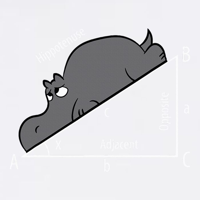 Funny Math Humor Hippotenuse Hypotenuse Funny Button