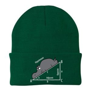 Funny Math Humor Hippotenuse Hypotenuse Funny Knit Cap Winter Beanie