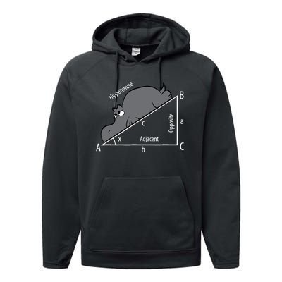 Funny Math Humor Hippotenuse Hypotenuse Funny Performance Fleece Hoodie