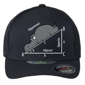 Funny Math Humor Hippotenuse Hypotenuse Funny Flexfit Unipanel Trucker Cap