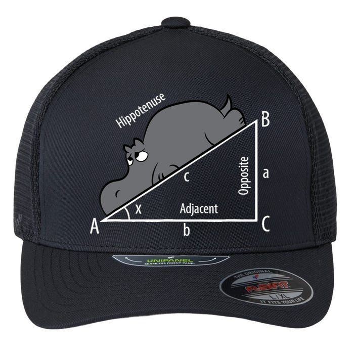 Funny Math Humor Hippotenuse Hypotenuse Funny Flexfit Unipanel Trucker Cap