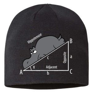 Funny Math Humor Hippotenuse Hypotenuse Funny Sustainable Beanie