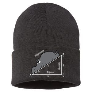 Funny Math Humor Hippotenuse Hypotenuse Funny Sustainable Knit Beanie