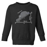 Funny Math Humor Hippotenuse Hypotenuse Funny Toddler Sweatshirt