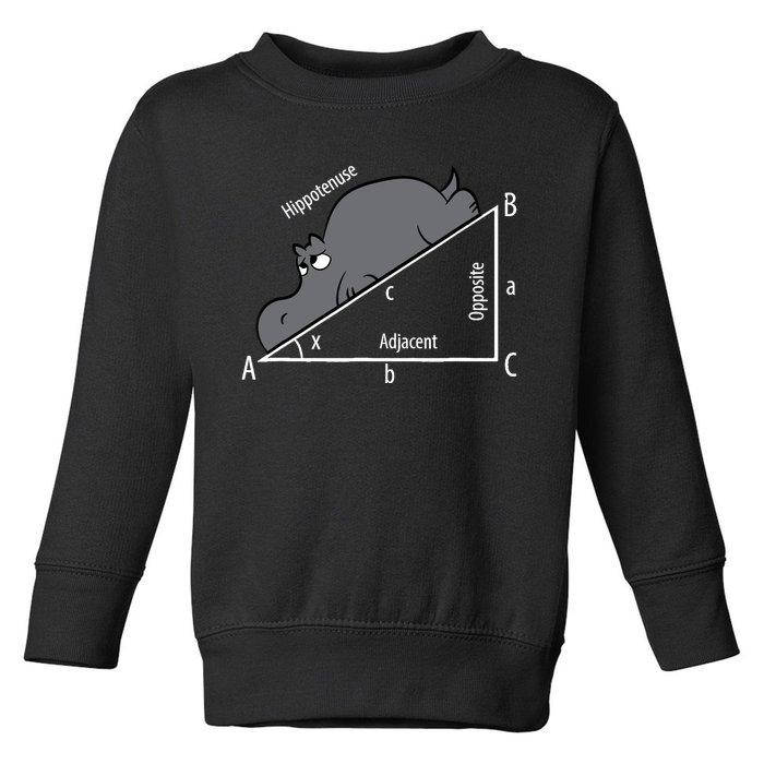 Funny Math Humor Hippotenuse Hypotenuse Funny Toddler Sweatshirt