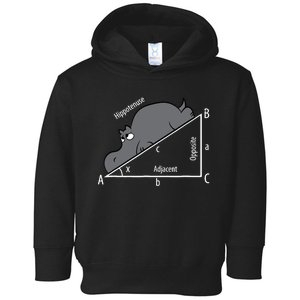 Funny Math Humor Hippotenuse Hypotenuse Funny Toddler Hoodie