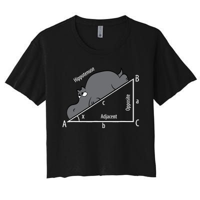 Funny Math Humor Hippotenuse Hypotenuse Funny Women's Crop Top Tee