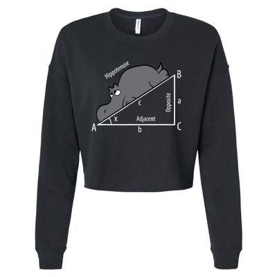 Funny Math Humor Hippotenuse Hypotenuse Funny Cropped Pullover Crew