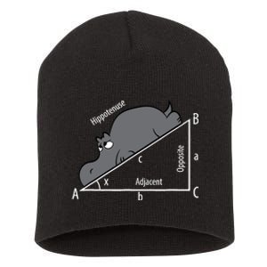 Funny Math Humor Hippotenuse Hypotenuse Funny Short Acrylic Beanie