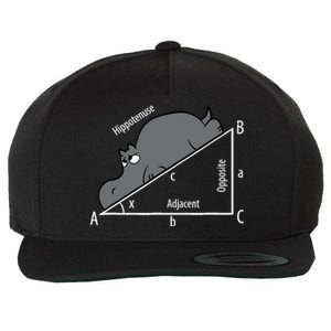 Funny Math Humor Hippotenuse Hypotenuse Funny Wool Snapback Cap