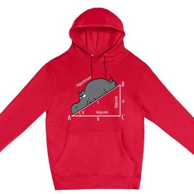 Funny Math Humor Hippotenuse Hypotenuse Funny Premium Pullover Hoodie