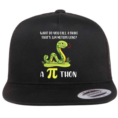 Funny Math Humor Celebrate Pi Day March 14 Python Pi Cute Gift Flat Bill Trucker Hat