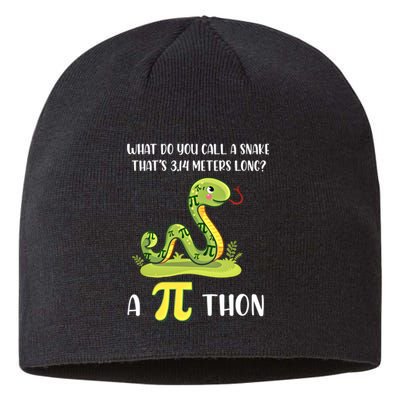 Funny Math Humor Celebrate Pi Day March 14 Python Pi Cute Gift Sustainable Beanie