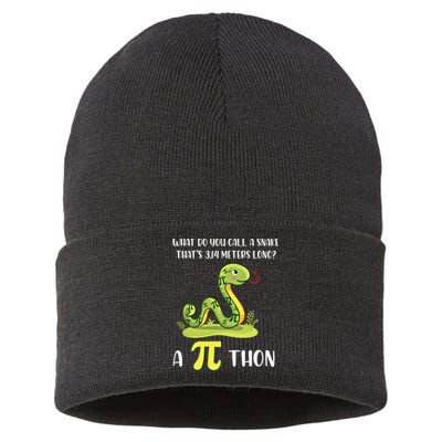 Funny Math Humor Celebrate Pi Day March 14 Python Pi Cute Gift Sustainable Knit Beanie