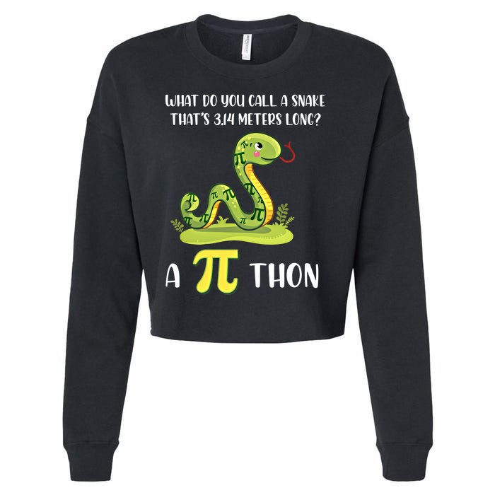 Funny Math Humor Celebrate Pi Day March 14 Python Pi Cute Gift Cropped Pullover Crew