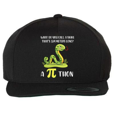 Funny Math Humor Celebrate Pi Day March 14 Python Pi Cute Gift Wool Snapback Cap