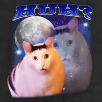 Funny Meme Huh Cat Adult Drive Performance Visor